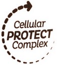 The Cellular Protect Complex formula offers good protection and care of the skin at the same time