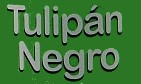 tulipan-negro-sticker